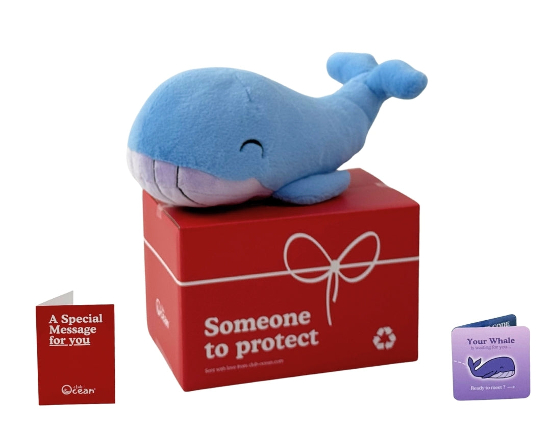 Whale Plushie