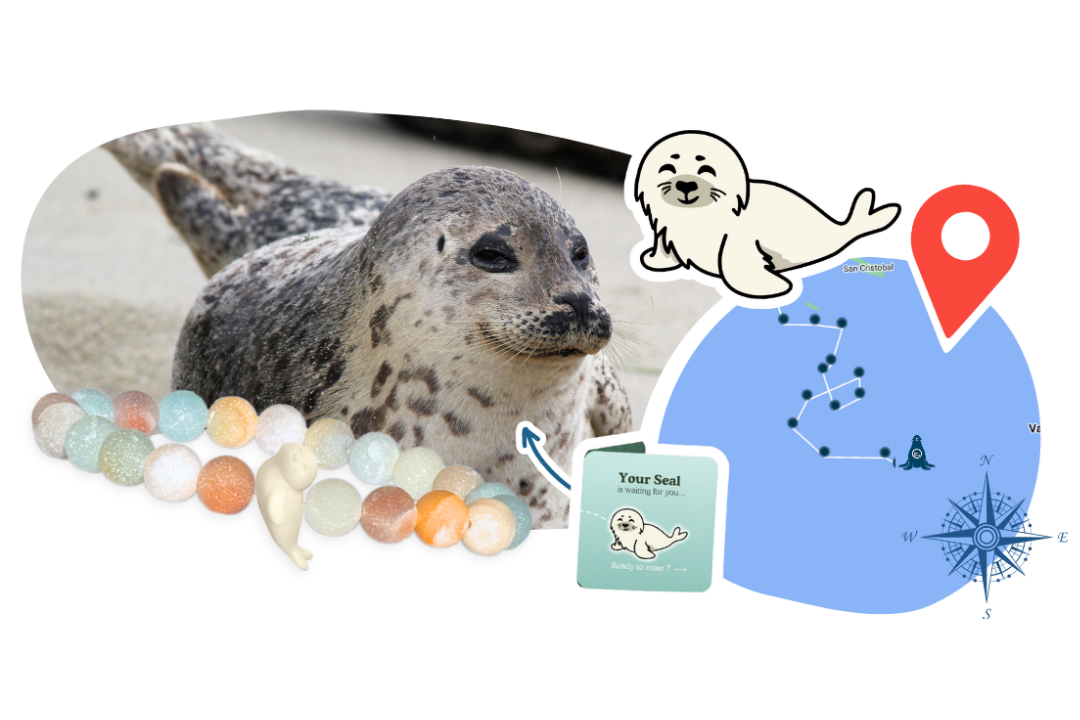 Seal Tracking Bracelet