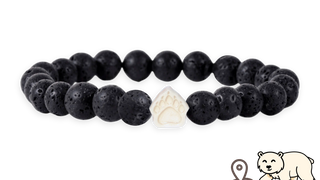Polar Bear Tracking Bracelet