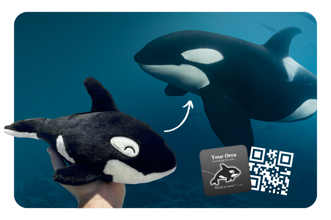 Orca Plushie