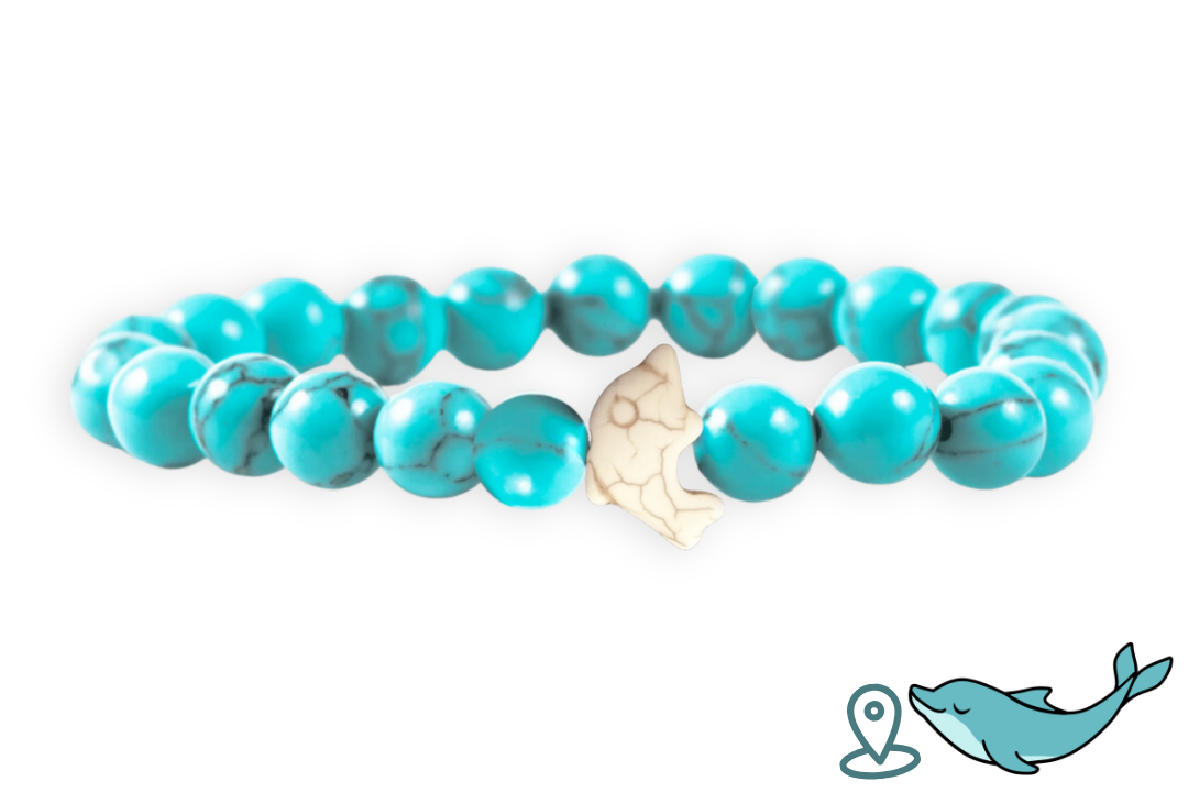 Dolphin Tracking Bracelet