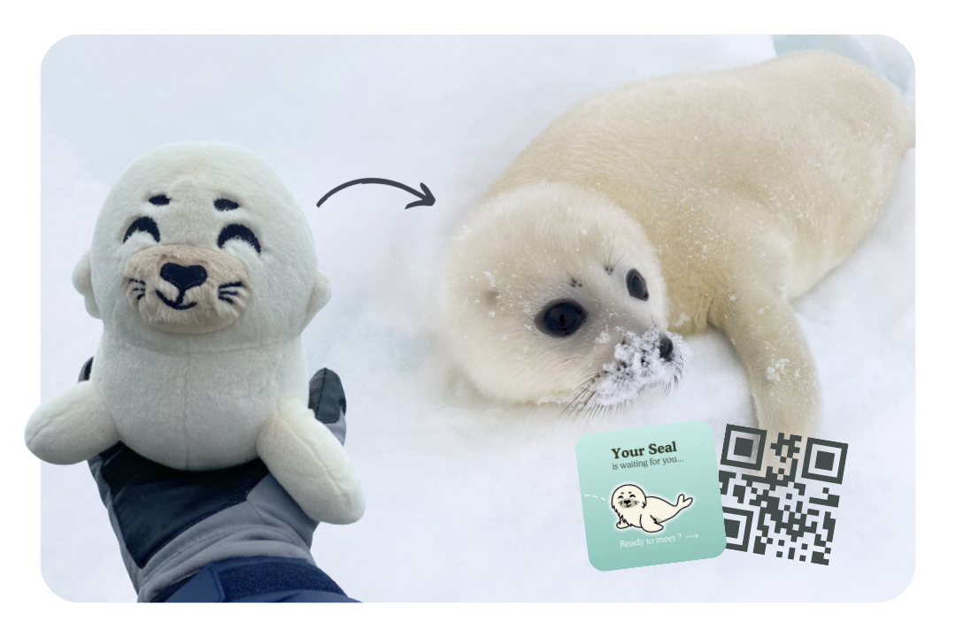 Seal Plushie