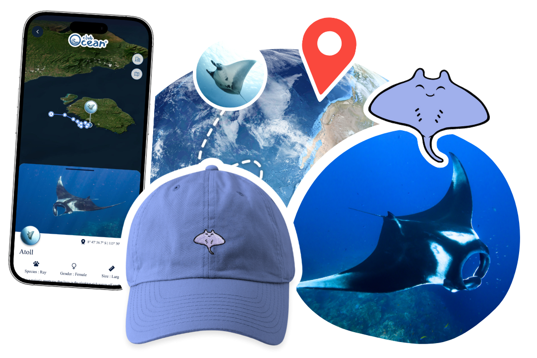 Ray Adoption Cap
