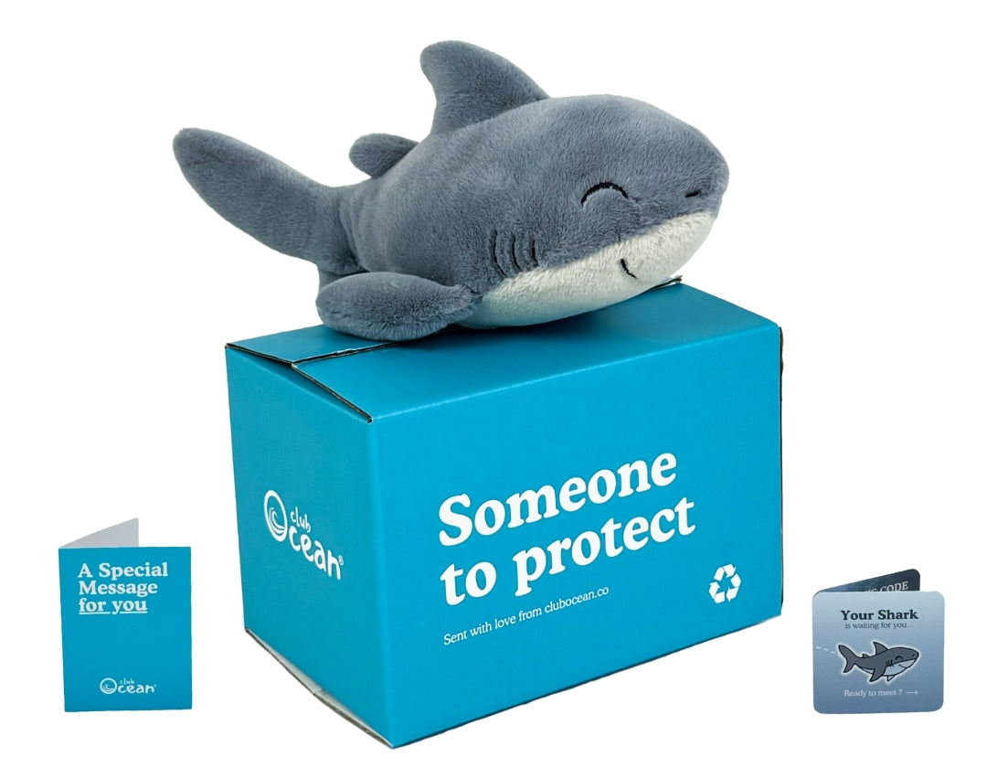 Shark Plushie