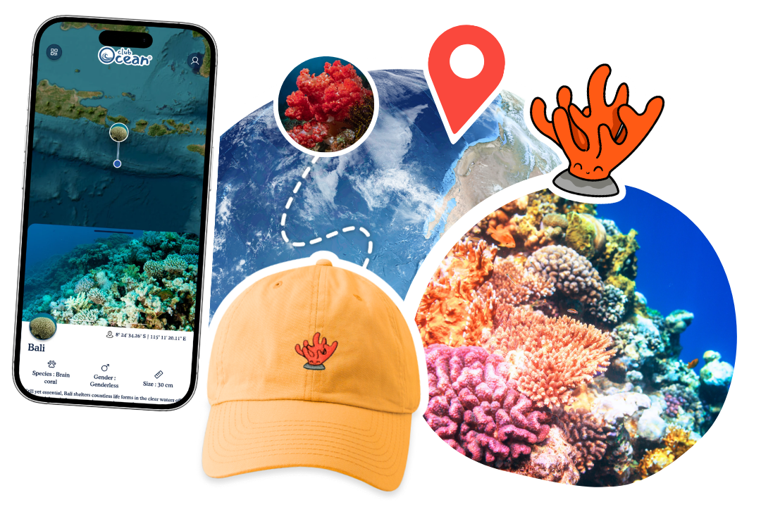 Coral Adoption Cap