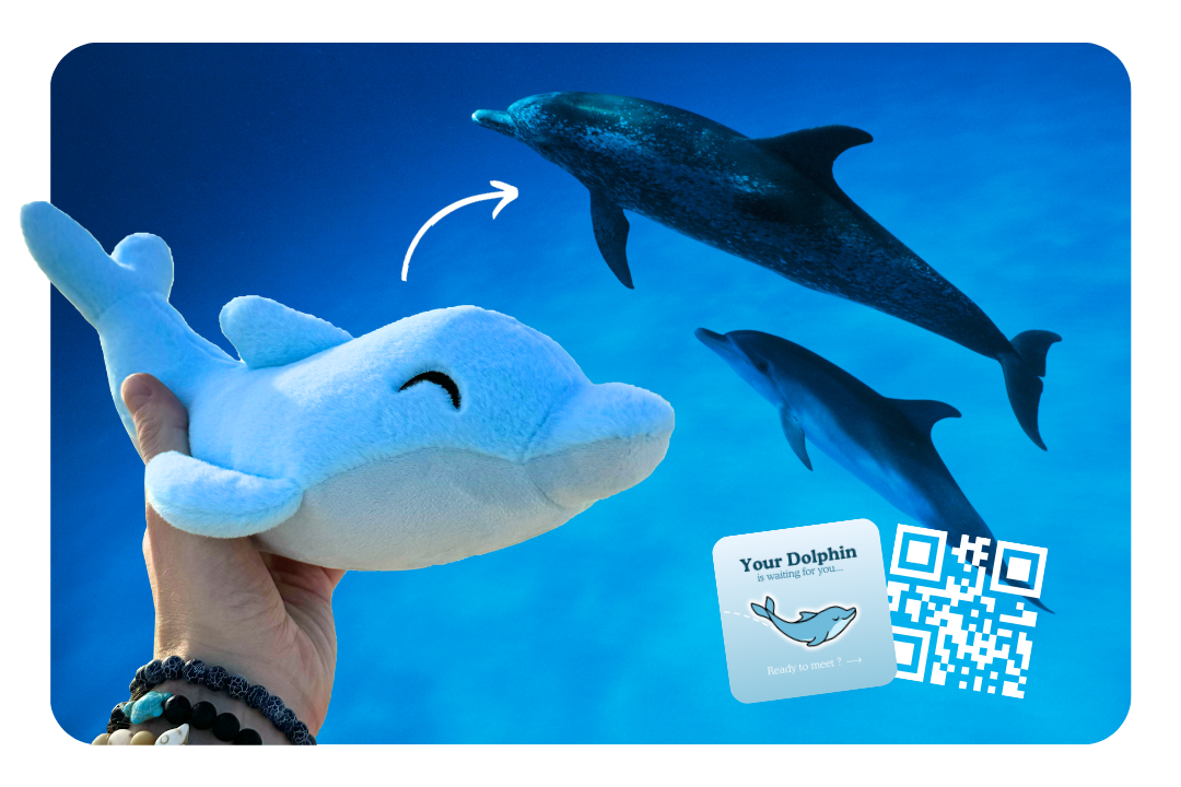 Dolphin Adoption Plushie