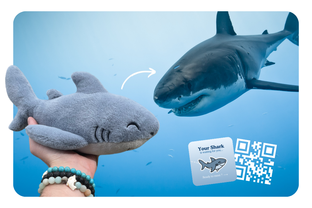 Shark Adoption Plushie