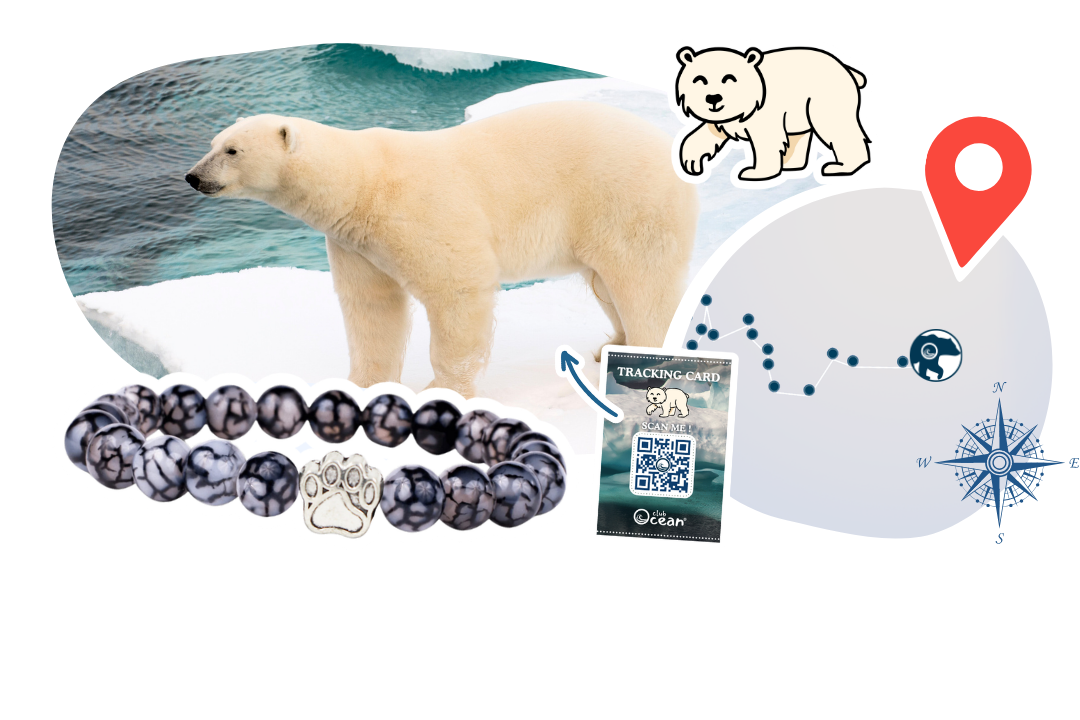 Polar Bear Tracking Bracelet