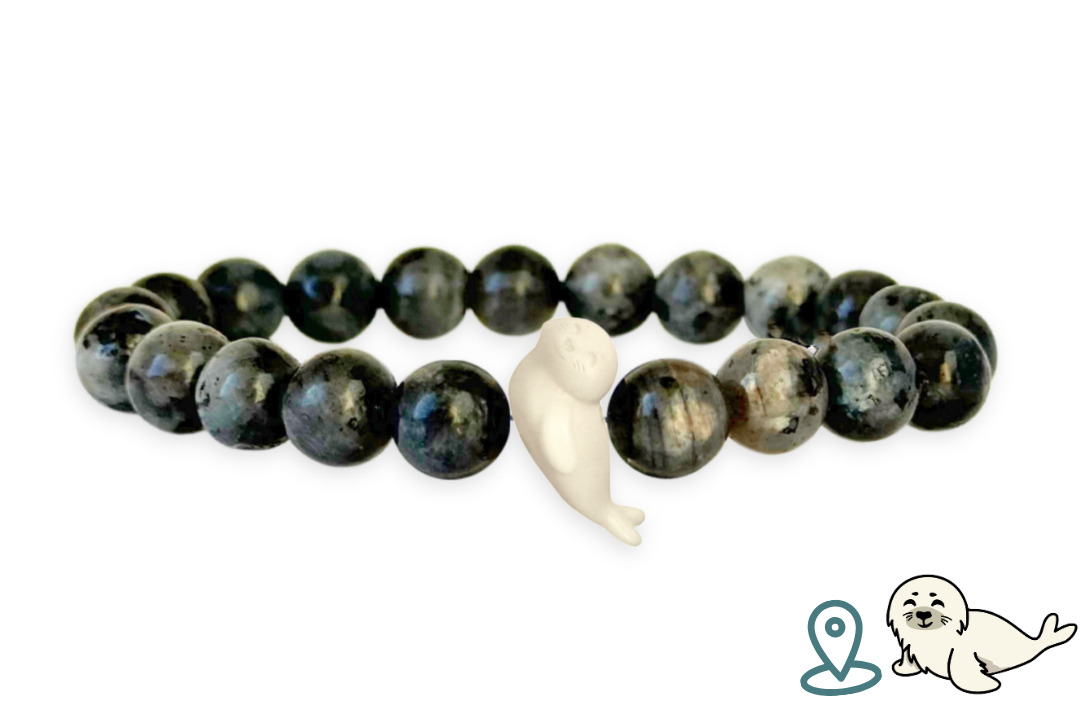 Seal Tracking Bracelet