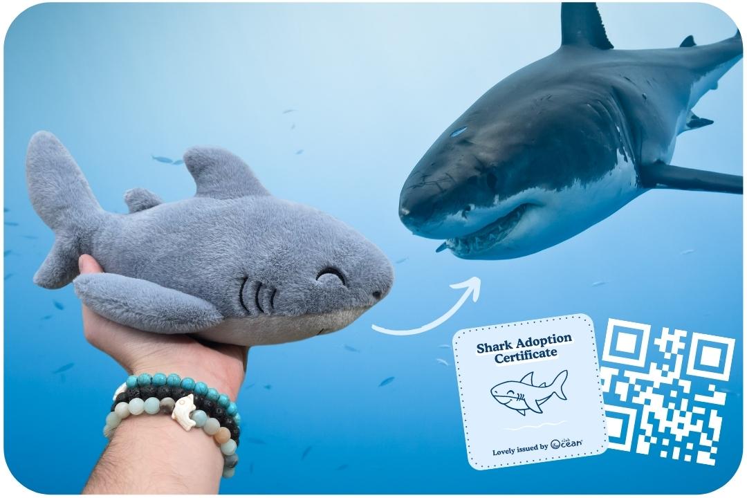 Shark Adoption Plushie