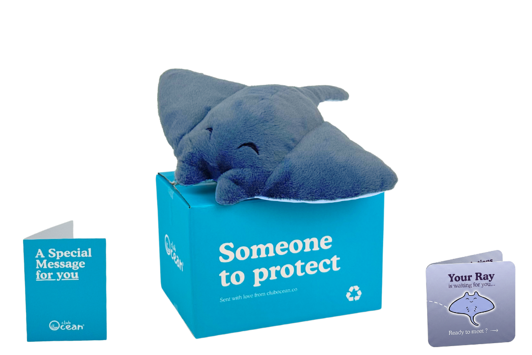 Ray Plushie