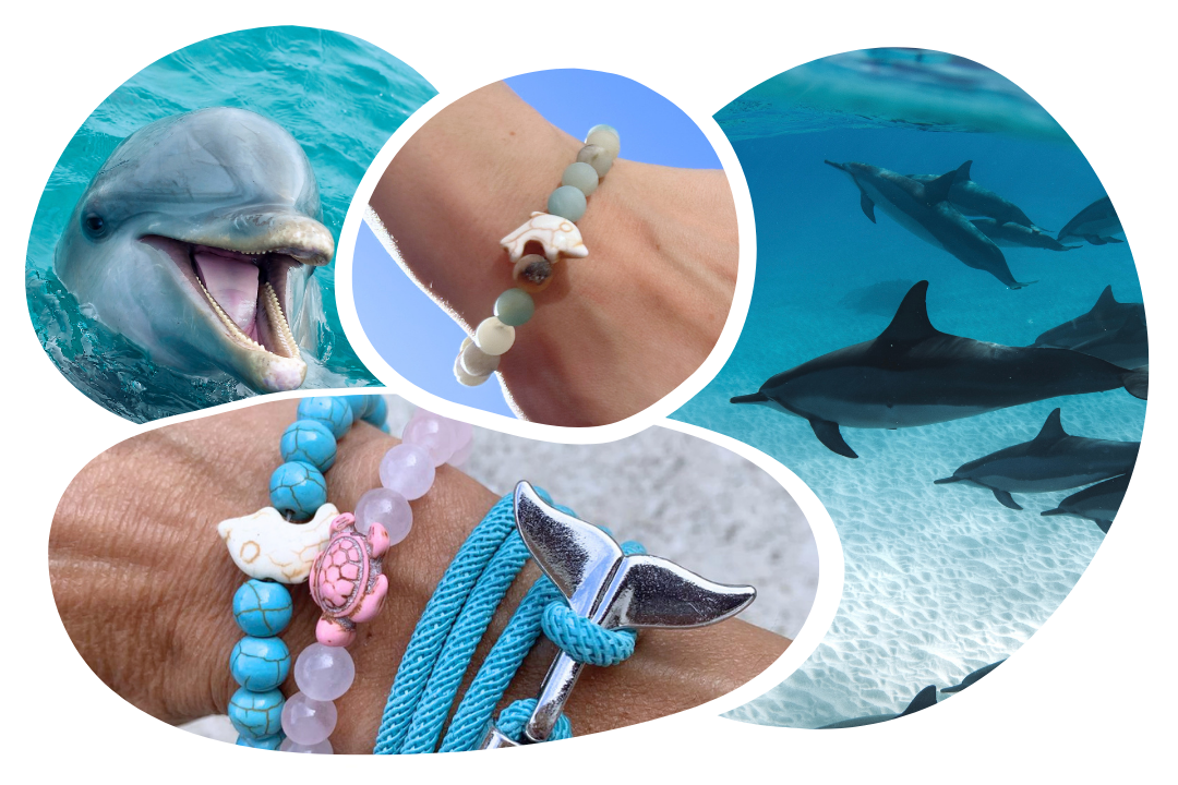 Dolphin Tracking Bracelet