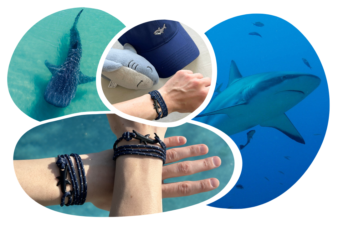 Shark Tracking Bracelet