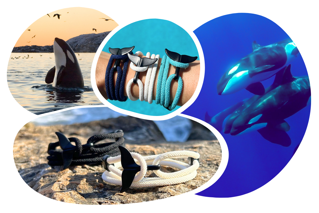 Orca Tracking Bracelet