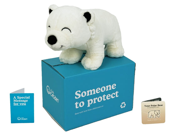 Polar Bear Plushie