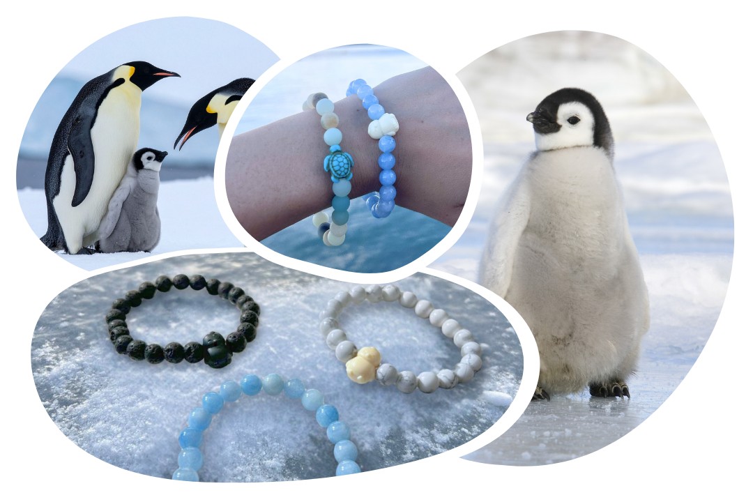 Penguin Tracking Bracelet