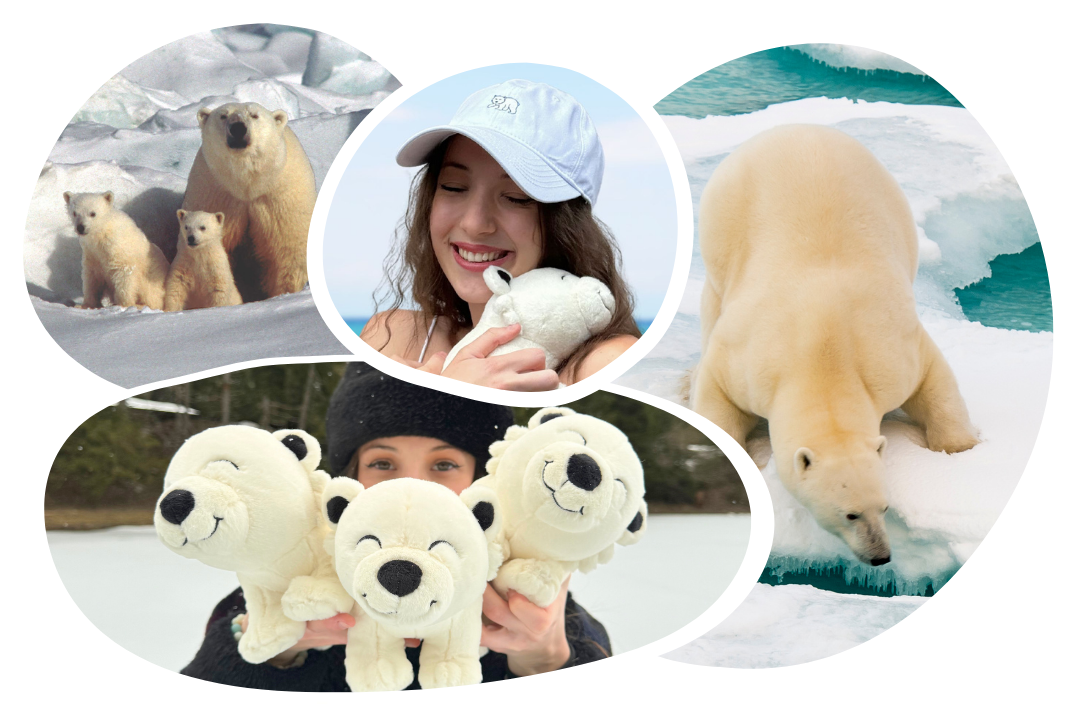 Polar Bear Adoption Cap