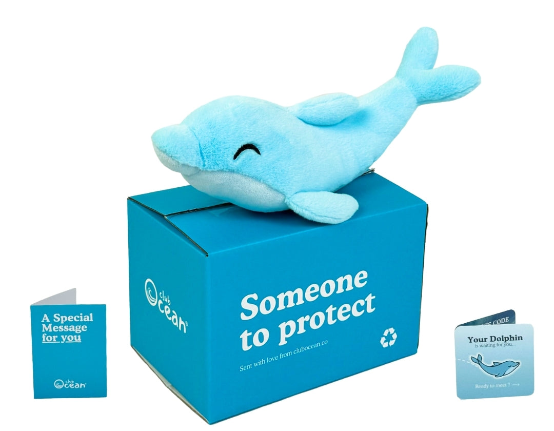 Dolphin Plushie