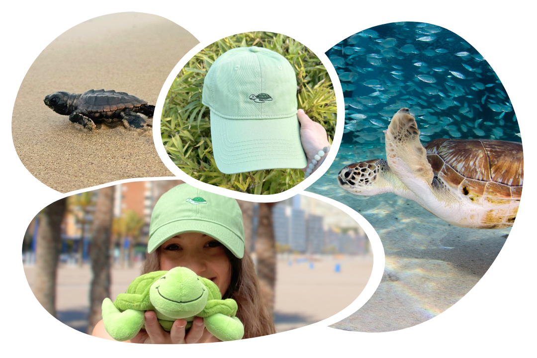 Turtle Adoption Cap