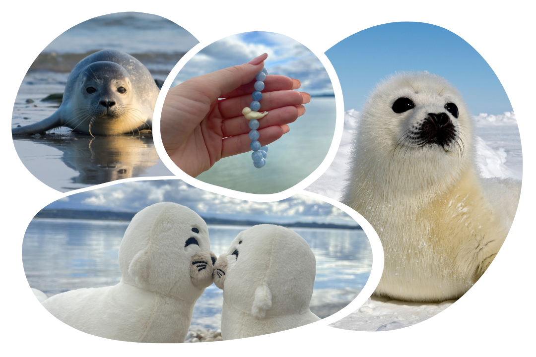 Seal Adoption Cap