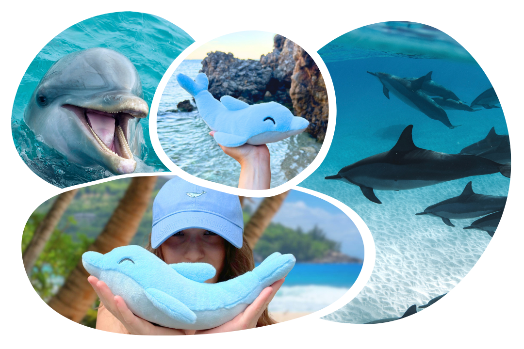Dolphin Adoption Cap