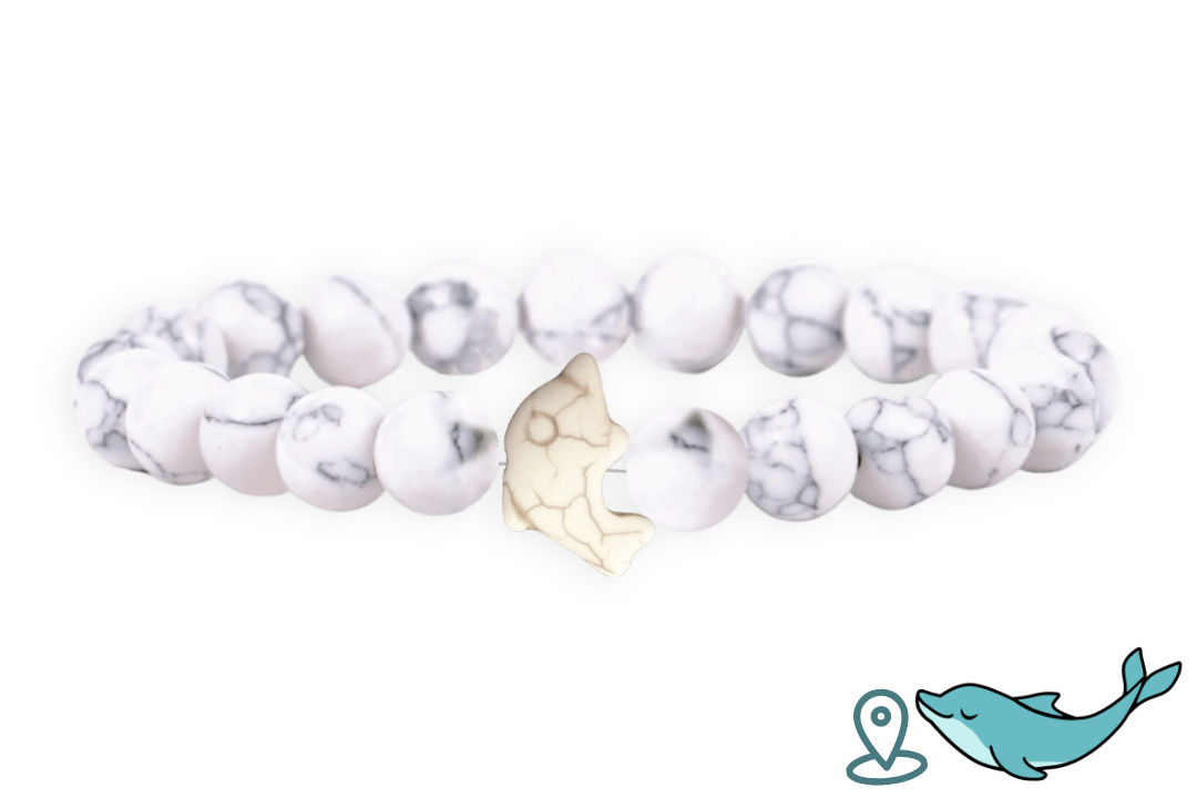 Dolphin Tracking Bracelet