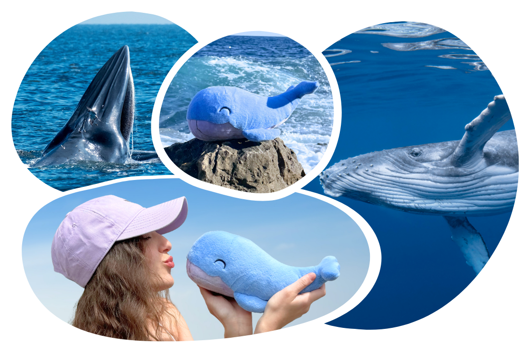 Whale Plushie