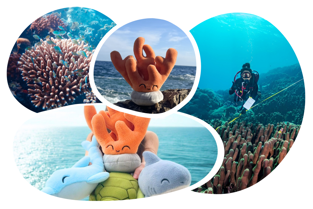 Coral Adoption Plushie