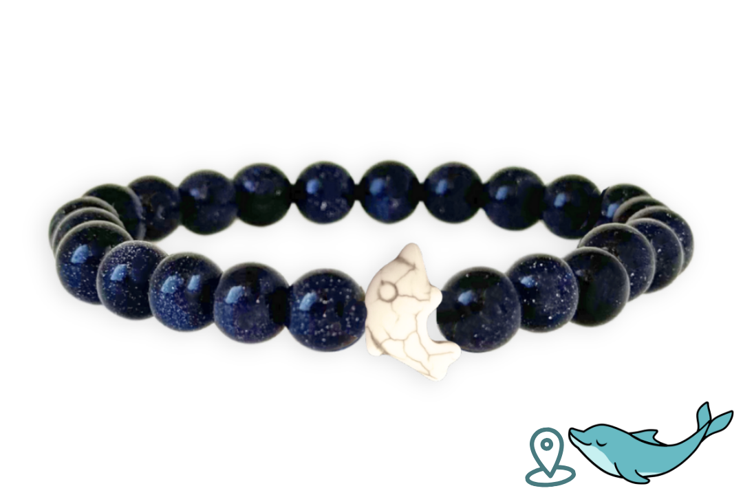 Dolphin Tracking Bracelet