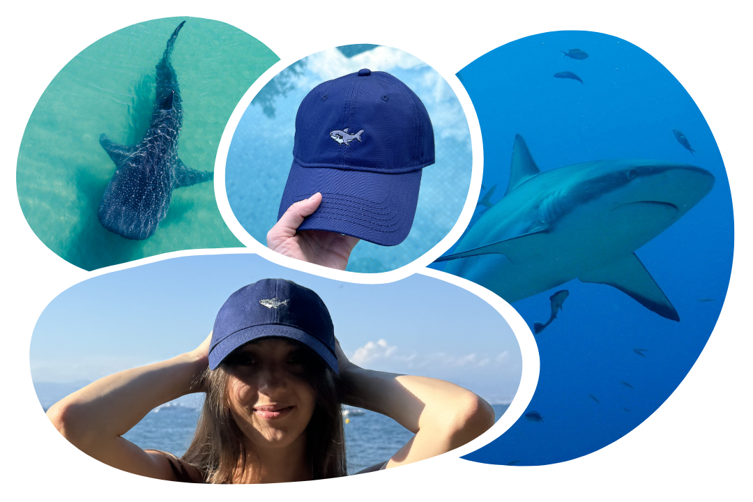 Shark Adoption Cap