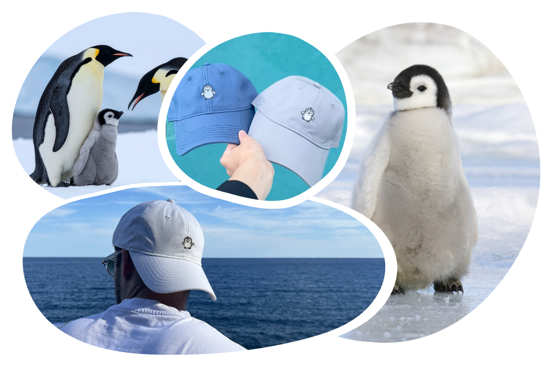 Penguin Adoption Cap