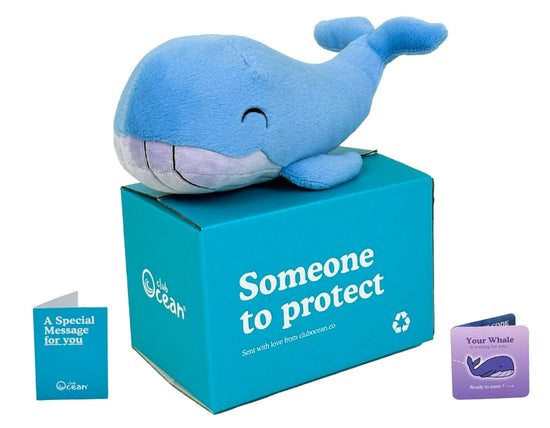 Whale Plushie