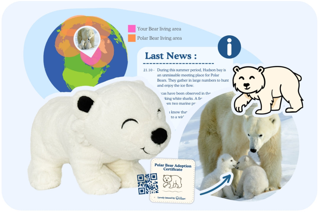 Polar Bear Adoption Plushie