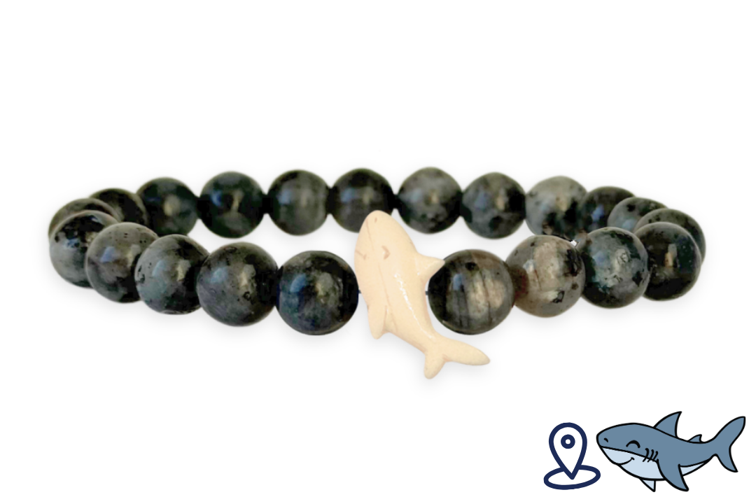 Shark Tracking Bracelet