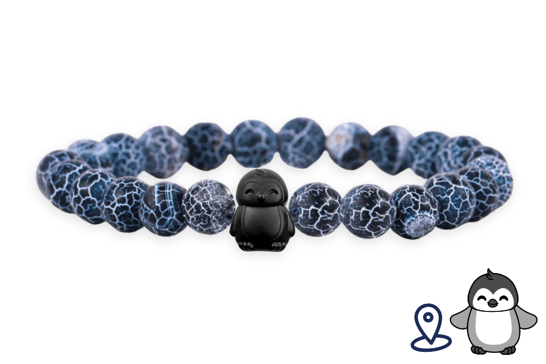 Penguin Tracking Bracelet