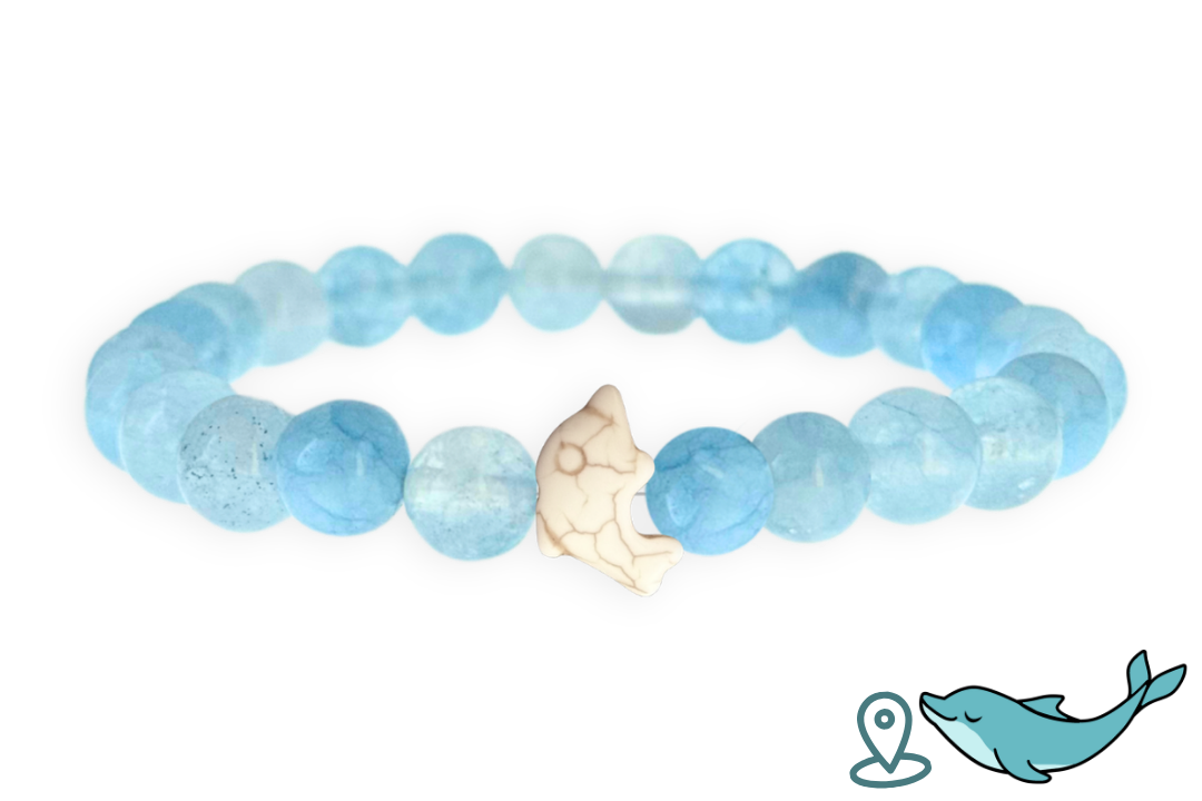Dolphin Tracking Bracelet