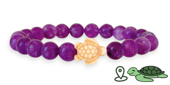 Turtle Tracking Bracelet