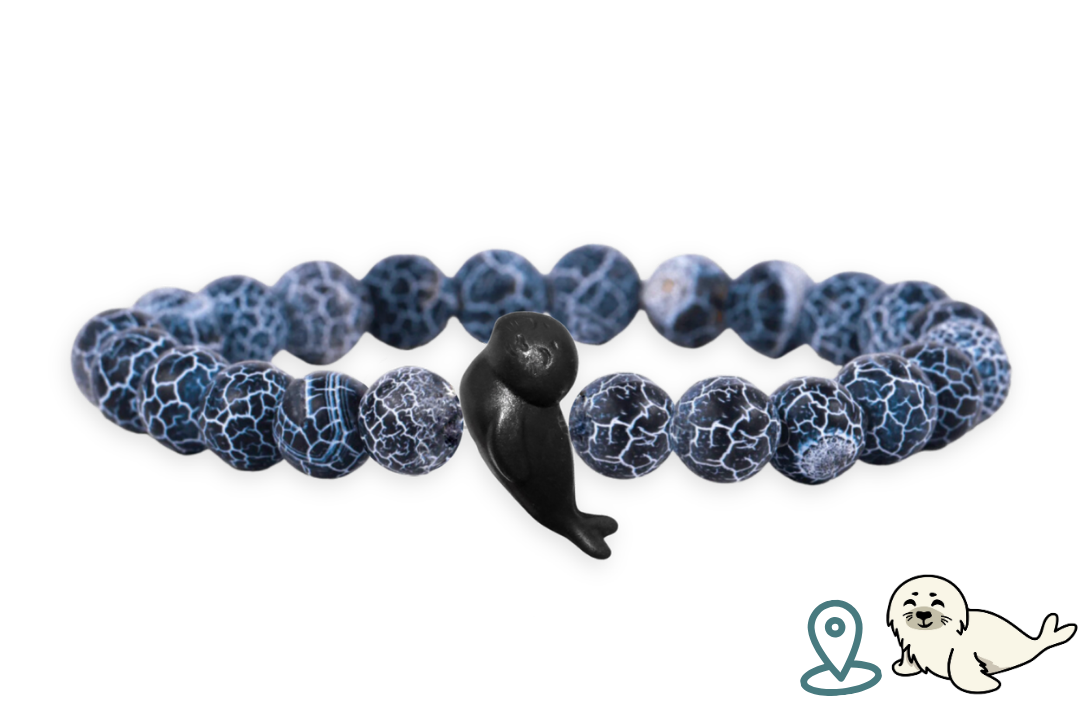 Seal Tracking Bracelet