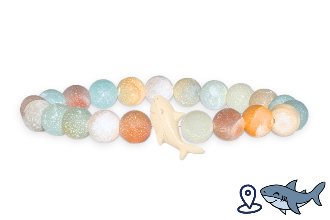 Shark Tracking Bracelet