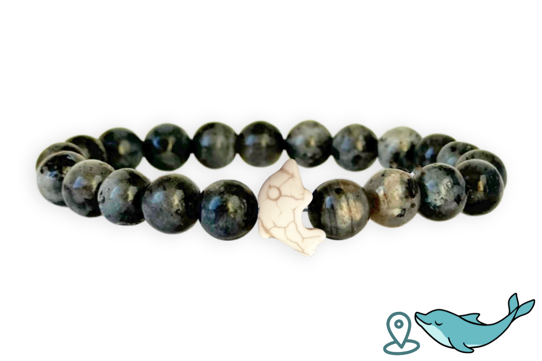 Dolphin Tracking Bracelet