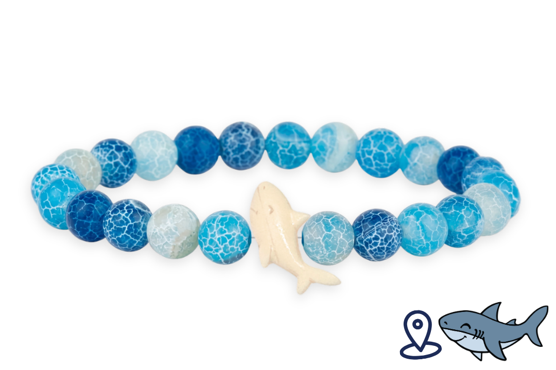 Shark Tracking Bracelet