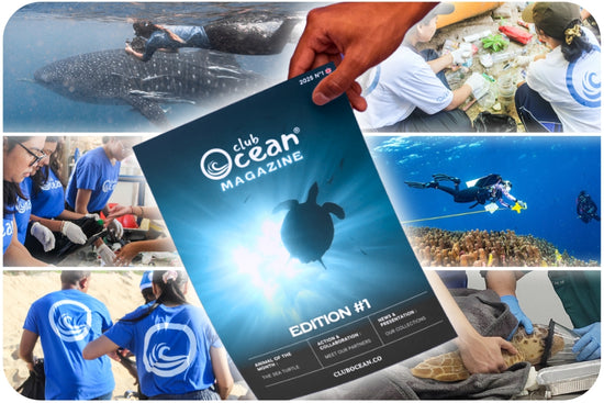 ClubOcean Magazine - Subscription
