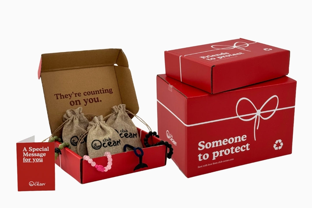 Gift Packaging