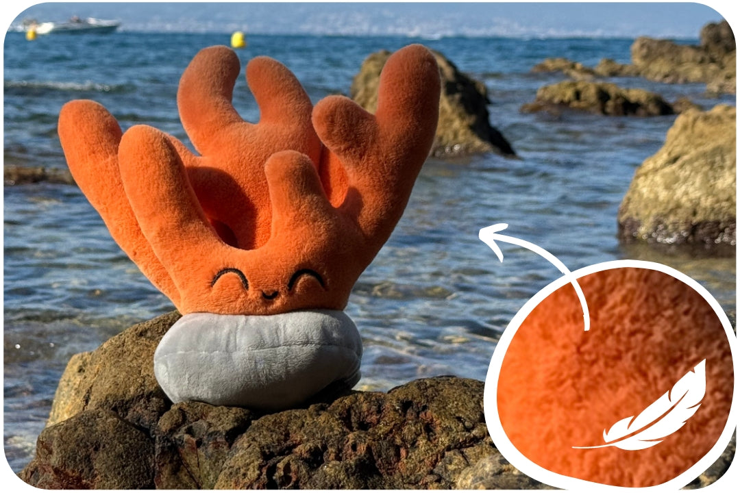 Coral Adoption Plushie