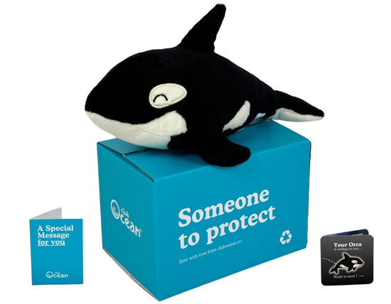 Orca Plushie