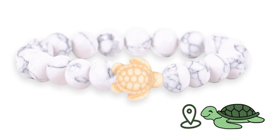 Turtle Tracking Bracelet