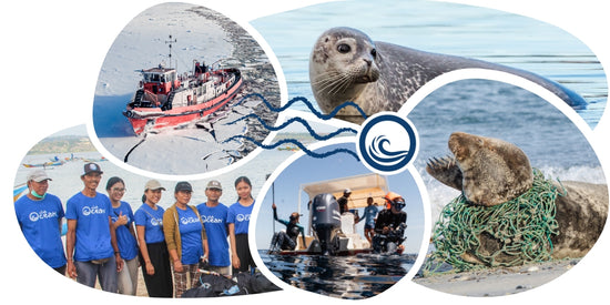 Seal Tracking Bracelet