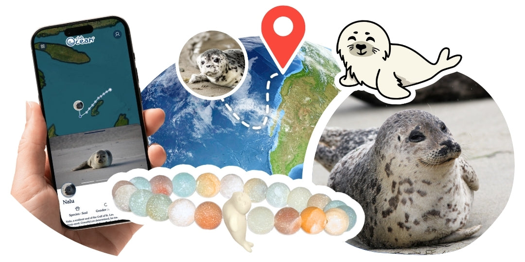 Seal Tracking Bracelet