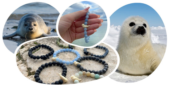 Seal Tracking Bracelet