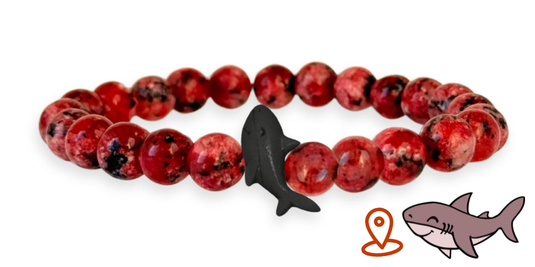 Shark Tracking Bracelet